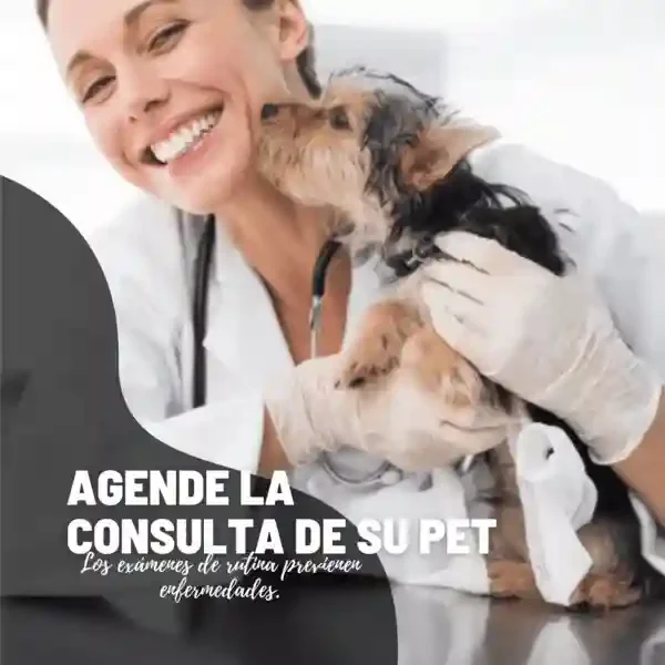 Copia de VETERINARIA 5 (1)_11zon