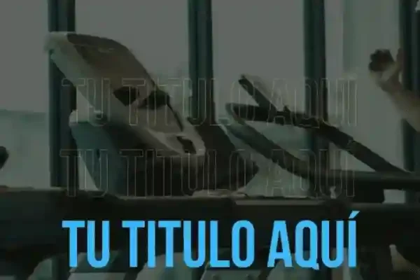 Diseño sin título (8) (2) (1)
